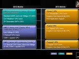 AMD Roadmap slide listing "Tamesh"