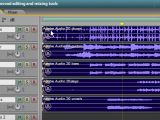 Multiple tracks simultaneous editing, making your multitracking a fun and easier job