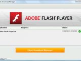 Successful Flash Player 10 installation via Adobe DLM