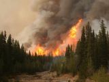Wildfires in the Alaskan Interior