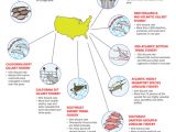 Oceana infographic documents by-catch in US waters