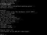 Alpine Linux booted