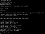 Installing packages in Alpine Linux 3.1.0