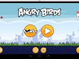 The Andy VM running the Angry Birds game