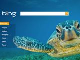 Bing sea turtle