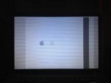 Photo of glitchy MacBook display