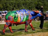 Bull Painting Festival in China