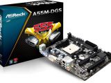 AsRock's A55M-DGS AMD FM2 Windows 8 Certified Mainboard