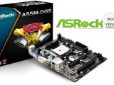 AsRock's A55M-DGS AMD FM2 Windows 8 Certified Mainboard