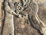 An Assyrian relief depicting king Nimrod finishing off a wounded lion. Images of kings battling with lions are common in Assyrian art, aiming to enhance the king's representation as a powerful and virile conqueror