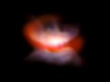 VLT/SPHERE and NACO image of the star L2 Puppis and its surroundings