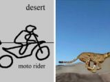 A cheetah chasing a motociclyst in the desert
