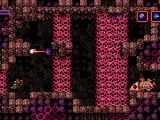 Axiom Verge in action