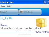 Spb Backup sync window