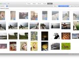 Photos for Mac: Imported photo library