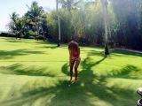 Beyonce gave herself a thigh gap in this vacation photo