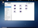 Black Lab Professional Desktop 6.0 file manager