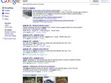 A Google search for "jaguar"