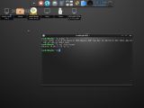 Bodhi Linux 3.0.0's terminal emulator