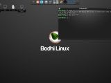 Bodhi Linux 3.0.0's terminal window