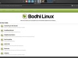 Bodhi Linux 3.0.0's web browser