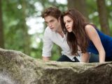 Edward takes Bella out for a hunt after turning her into a vampire