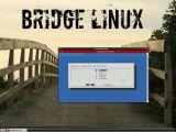 Bridge Linux LXDE's text-mode installer