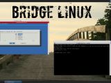Bridge Linux Xfce's terminal emulator