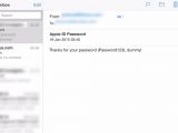 Password for Apple account received by the attacker
