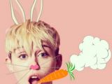 Naughty Miley Cyrus makes pretend she's a smoking bunny