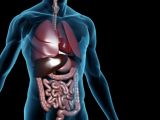 People exposed to it experience trouble with their gastrointestinal tract