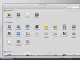 Linux Mint 17.1 with Cinnamon system settings