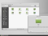 Linux Mint 17.1 with Cinnamon file manager