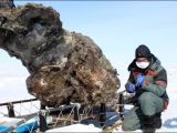 Photo shows the carcass being pulled out of the Siberian permafrost