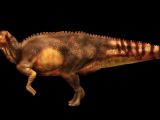 Real life image of the mumified dinosaur