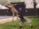 Dominate foes in Dead or Alive 5: Last Round