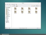 The default file manager