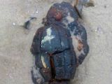 70-year-old grenade found on a beach still had its pin in it