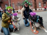 The event attracts many animal lovers
