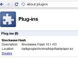Adobe Flash Player 10.1 (r53) final is already available in Google Chrome