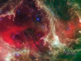 W5 Nebula