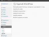 WordPress 3.0 upgrade progress