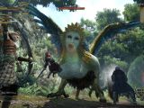 Dragon's Dogma Online sure has some weird monsters