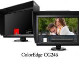 Eizo ColorEdge CG246 Professional 10-Bit Monitor