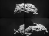 Composite image reveals the comet's anatomy