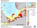 The North Sea areas at risk of alien species intrusion should water ballast from ships be exchanged. Using ESA Earth observation data, the model was developed as part of the Agency's Data User Element Innovators II project.