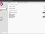 CompizConfig Settings Manager Decorations