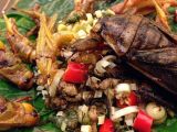 A traditional dish made with insects