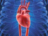 MDMA has high chances to affect the heart
