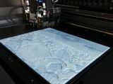 3D Printed photo
